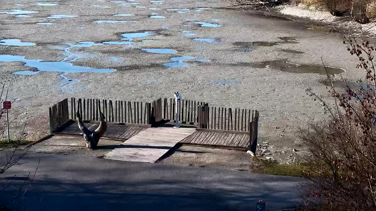 Spletna kamera Ribnik Vrbje – Žalec