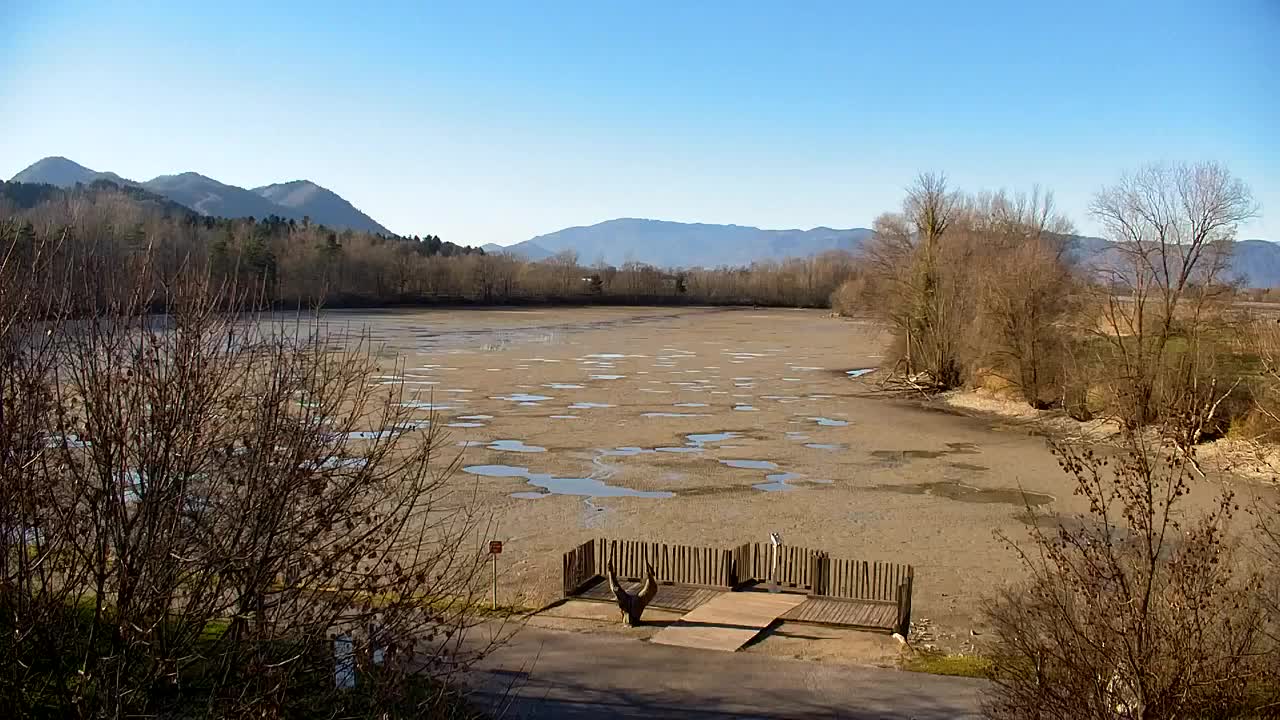 Webcam Ribnik Vrbje – Žalec