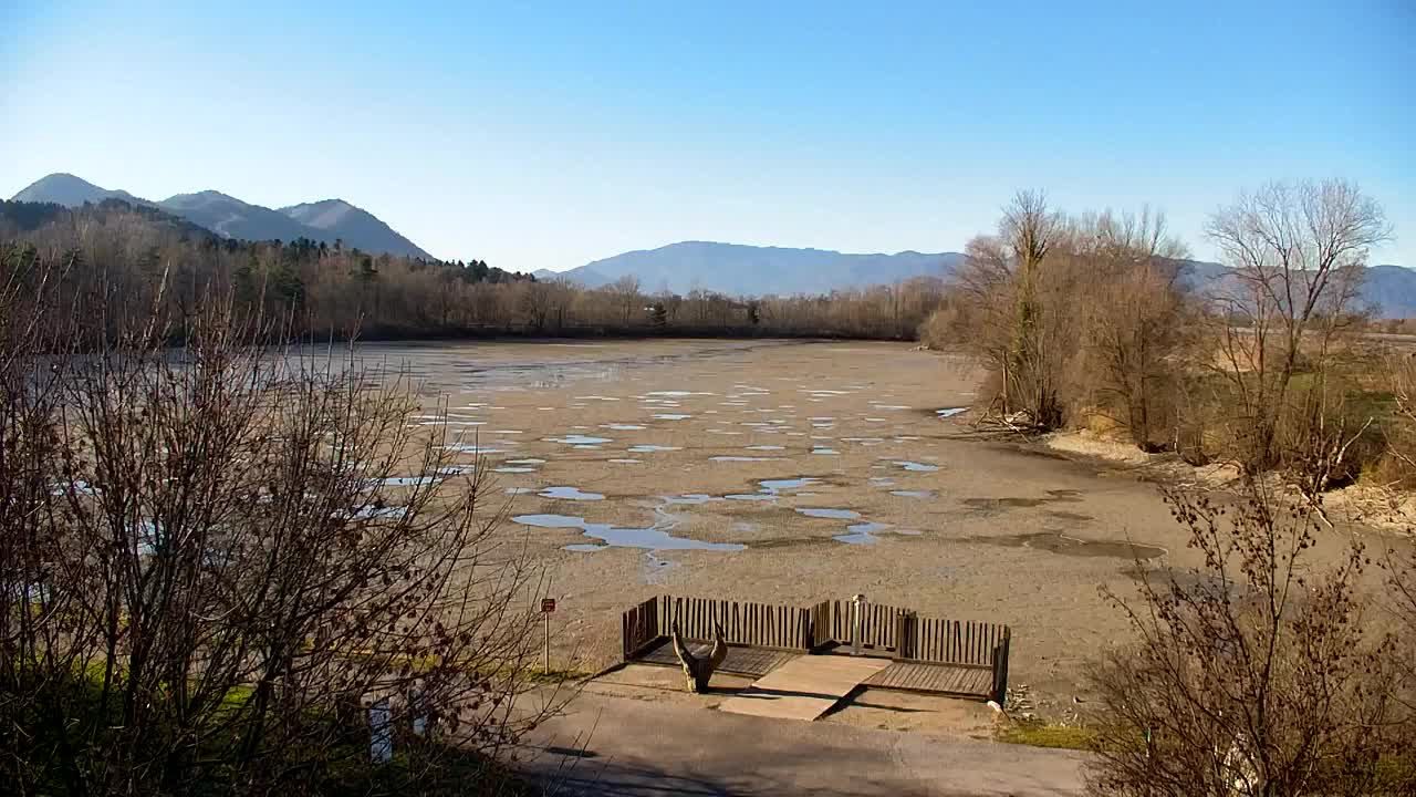 Webcam Ribnik Vrbje – Žalec