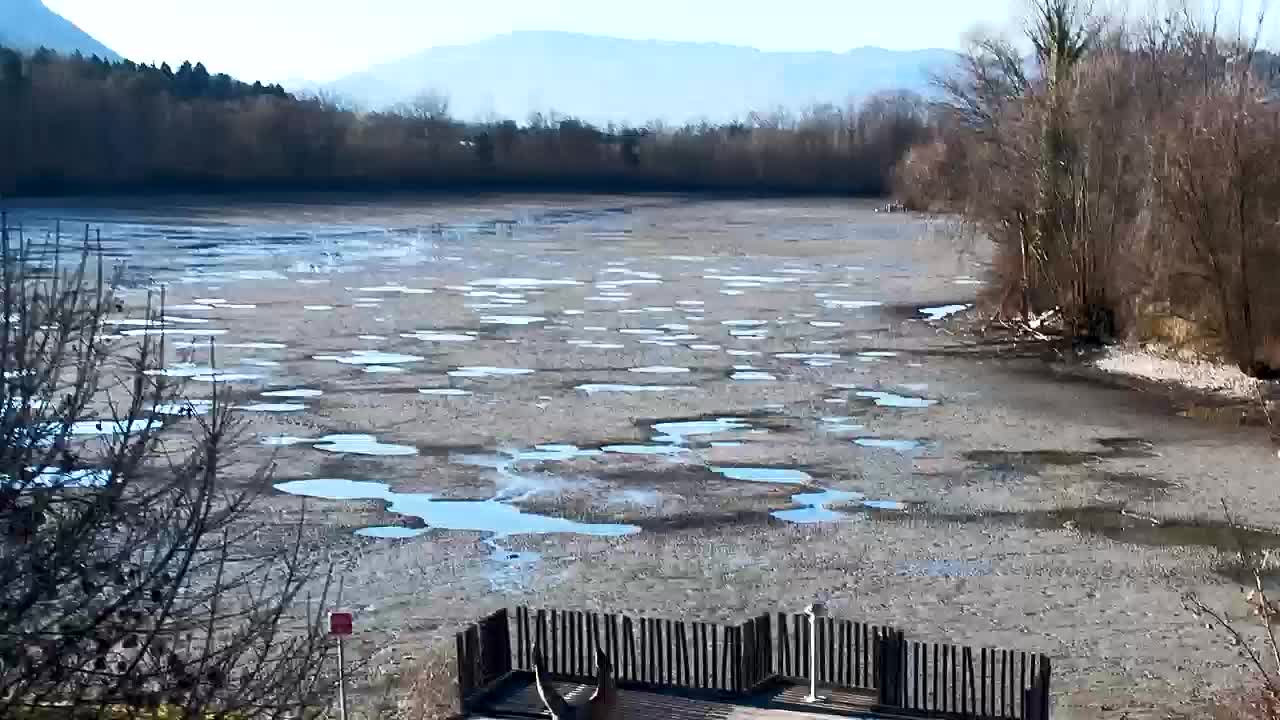 Webcam Ribnik Vrbje – Žalec