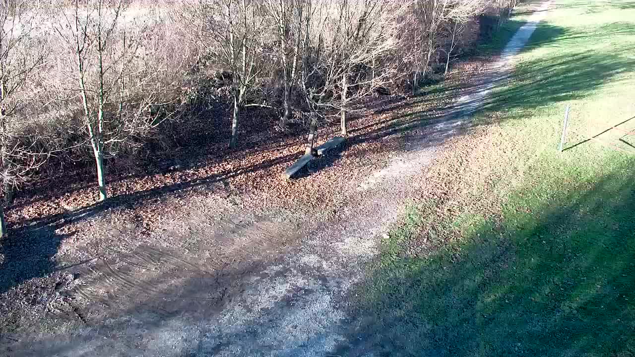 Web kamera Ribnik Vrbje – Žalec