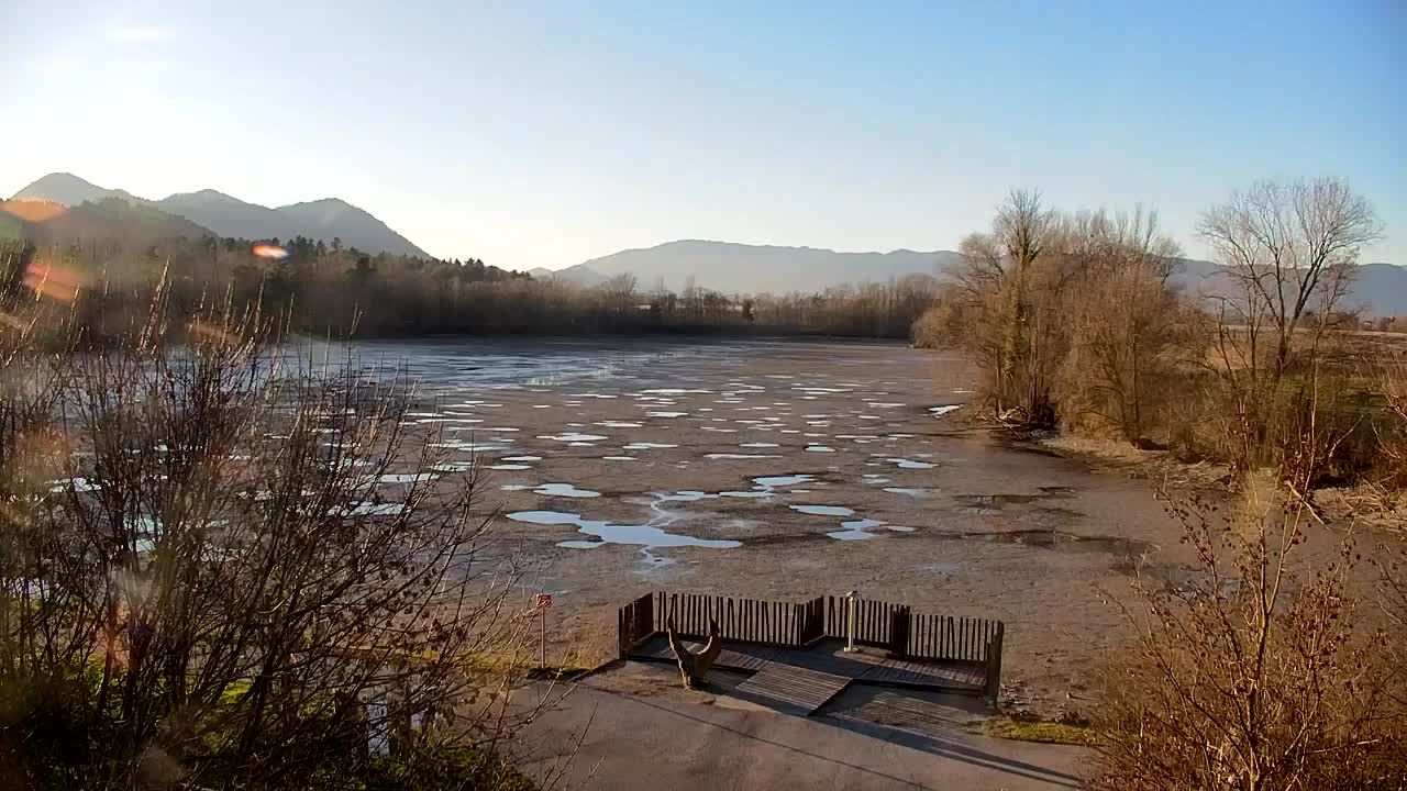 Spletna kamera Ribnik Vrbje – Žalec