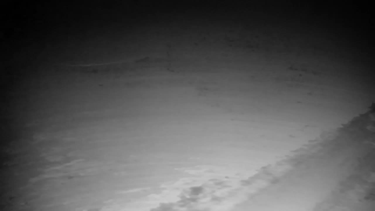 Webcam Ribnik Vrbje – Žalec