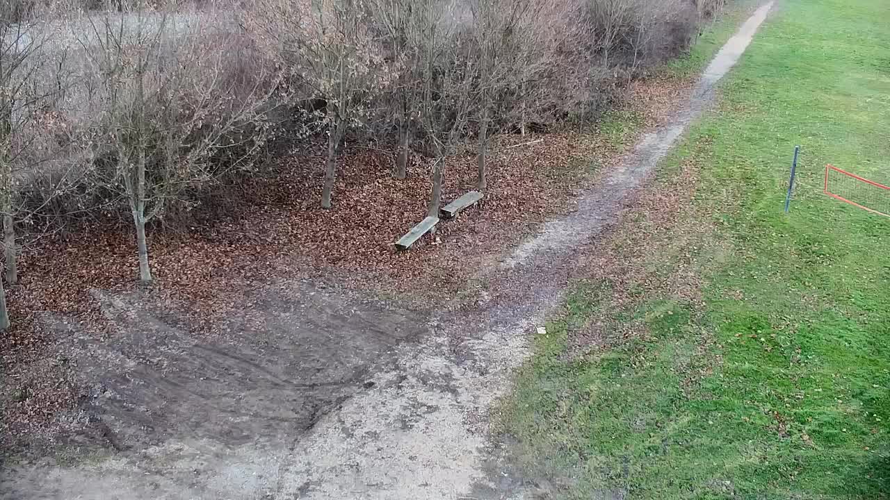 Web kamera Ribnik Vrbje – Žalec