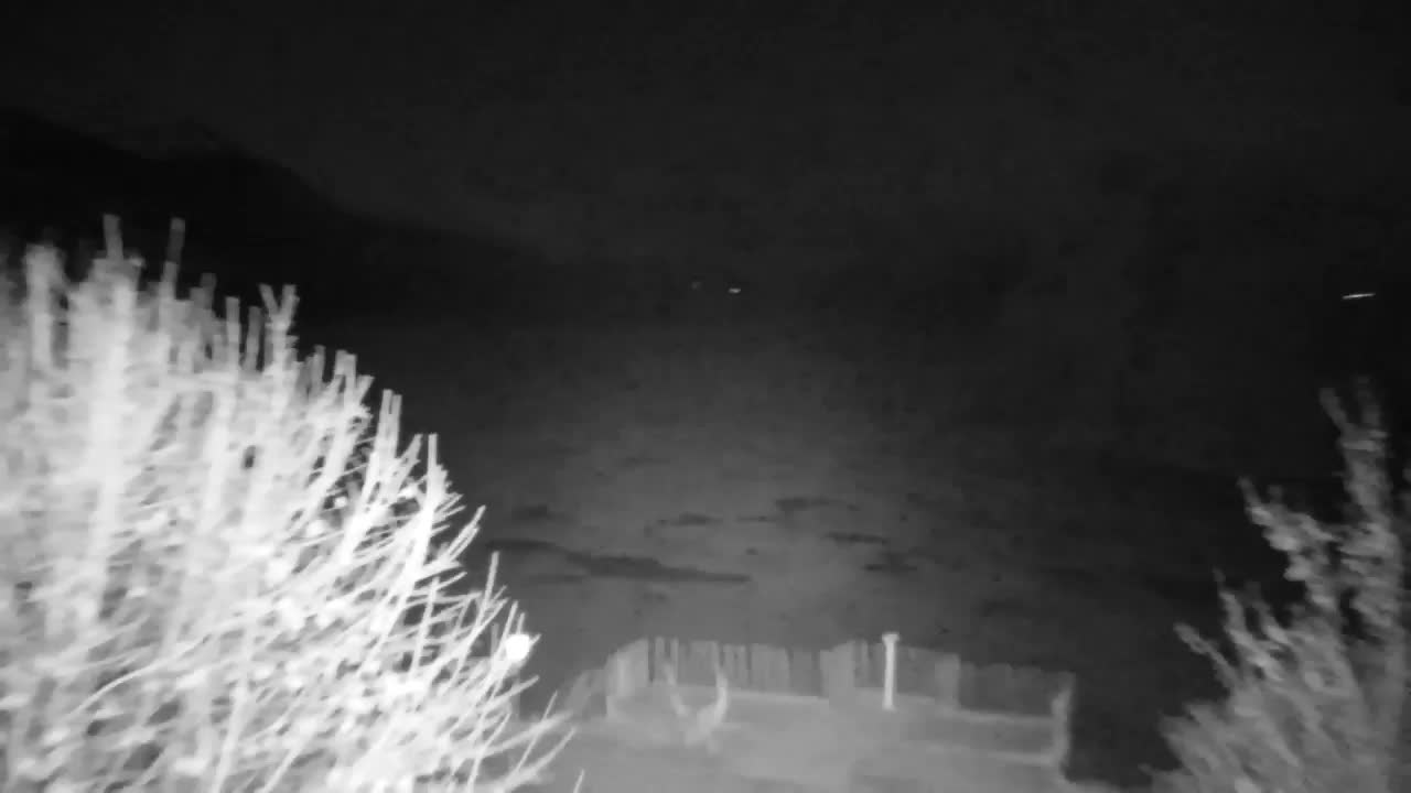 Web kamera Ribnik Vrbje – Žalec