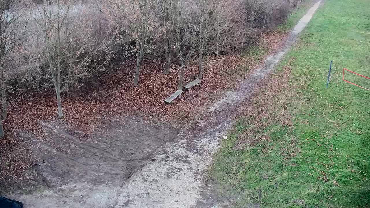 Web kamera Ribnik Vrbje – Žalec