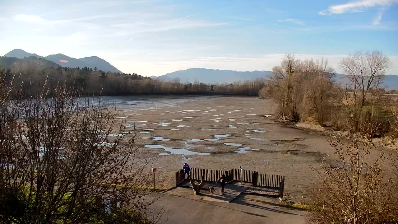 Webcam Ribnik Vrbje – Žalec