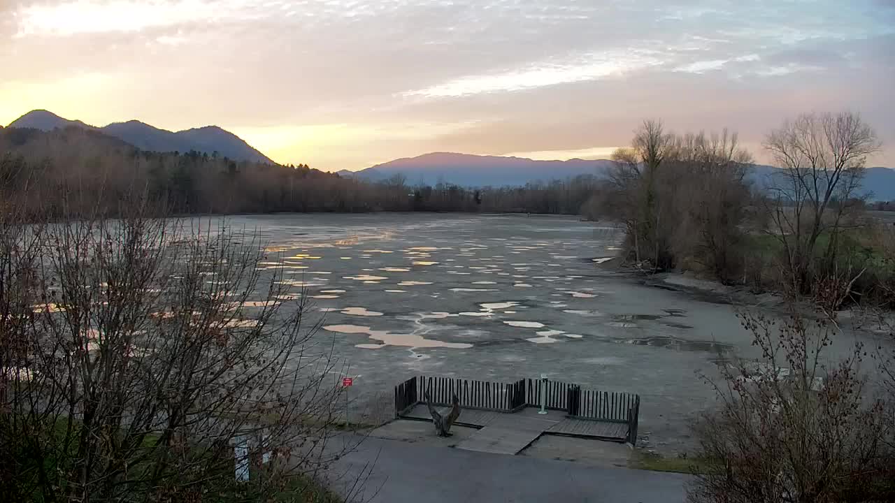 Webcam Ribnik Vrbje – Žalec