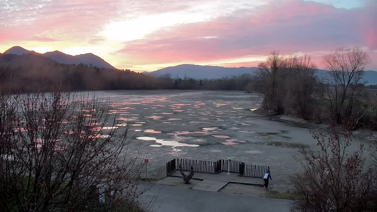 Spletna kamera Ribnik Vrbje – Žalec