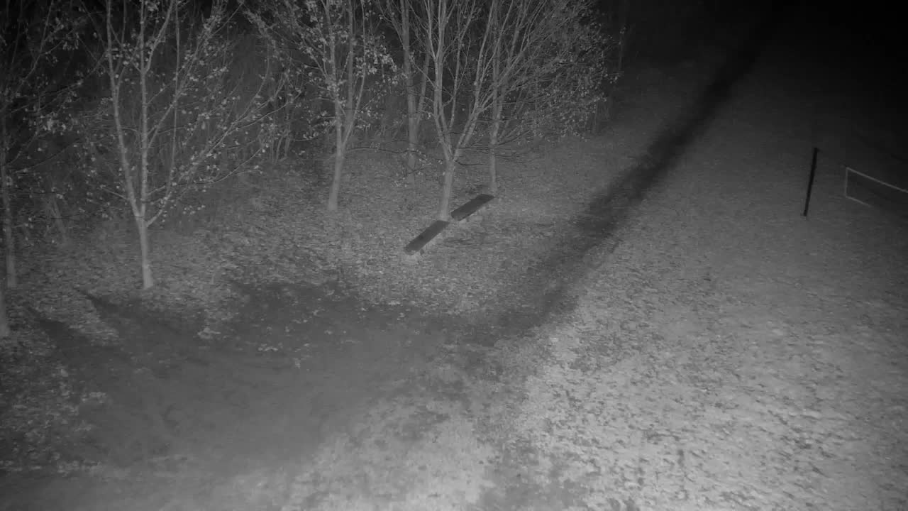 Webcam Ribnik Vrbje – Žalec