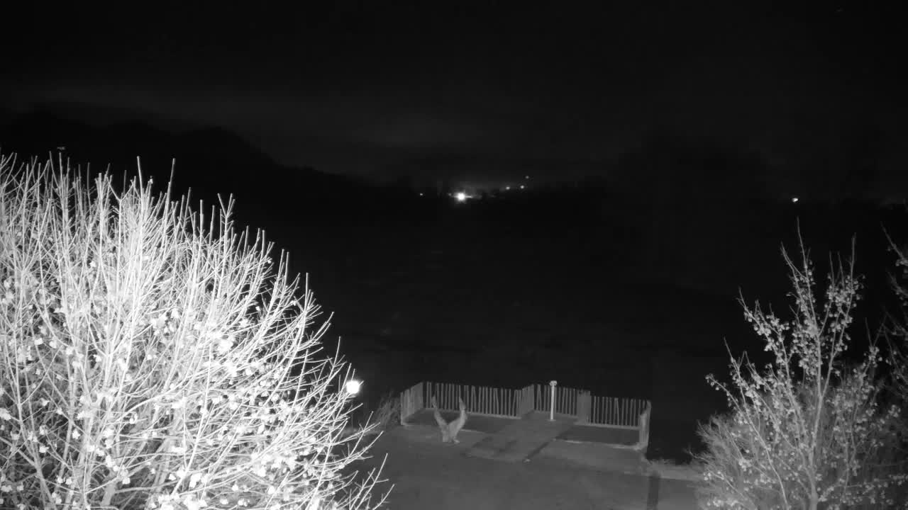 Webcam Ribnik Vrbje – Žalec