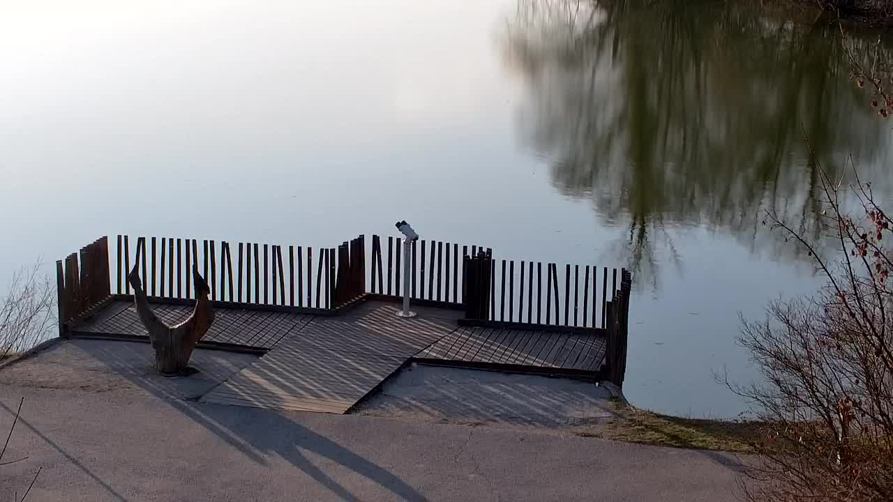 Webcam Ribnik Vrbje – Žalec