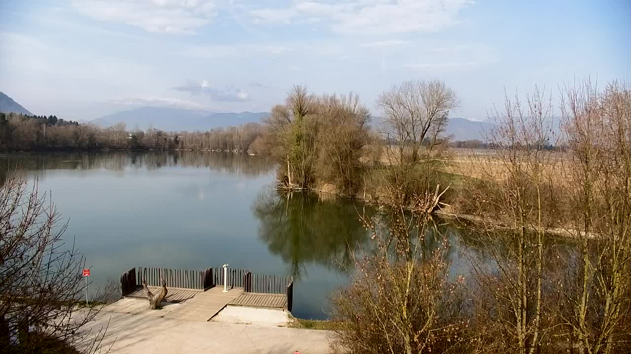 Webcam Ribnik Vrbje – Žalec