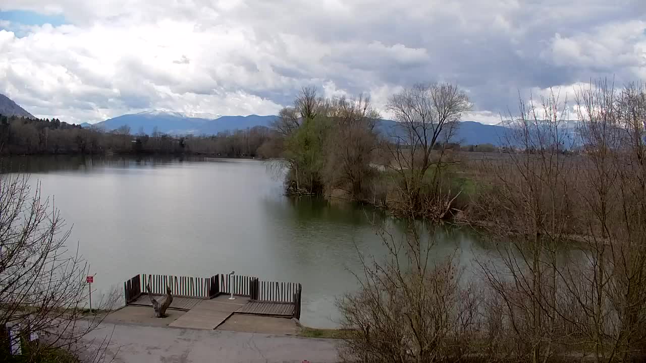 Webcam Ribnik Vrbje – Žalec