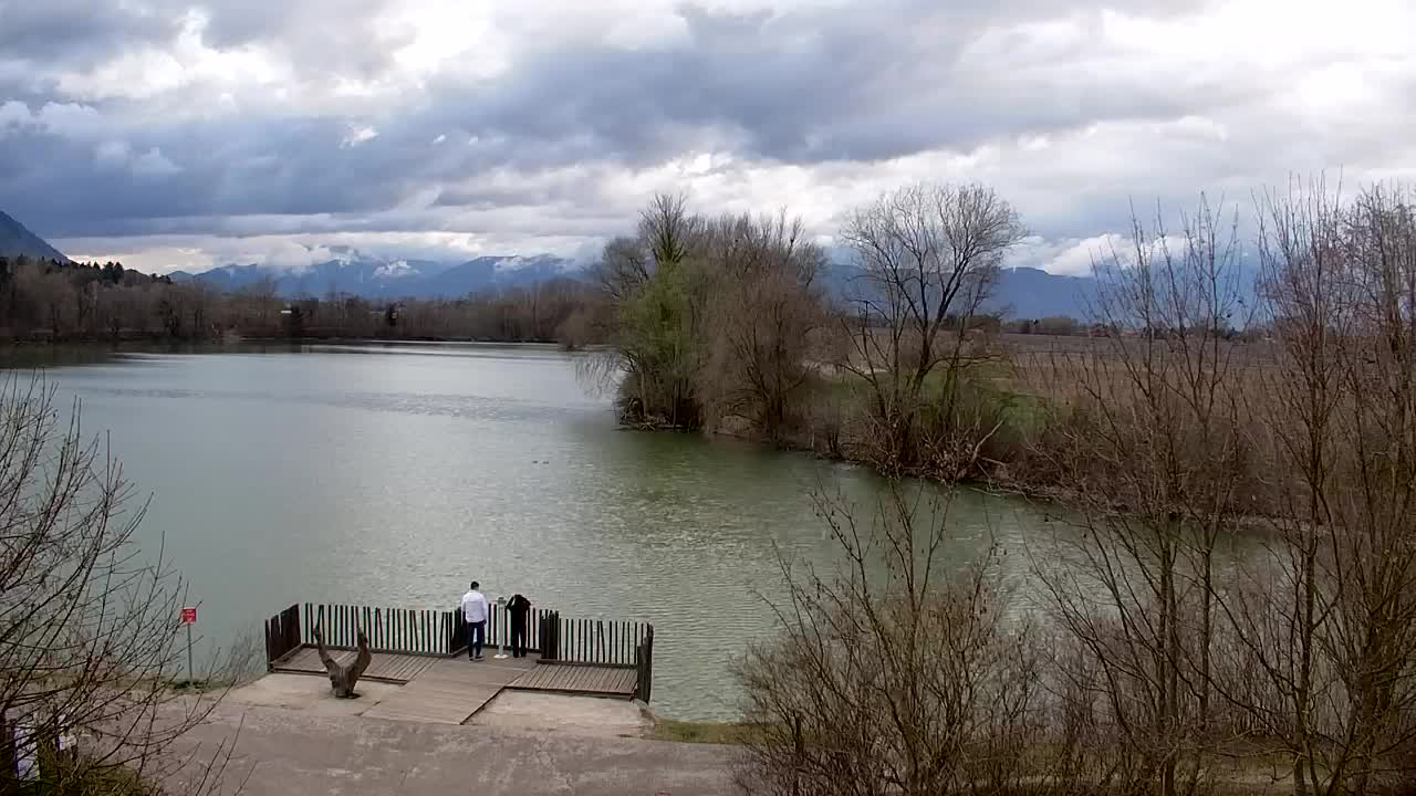Webcam Ribnik Vrbje – Žalec