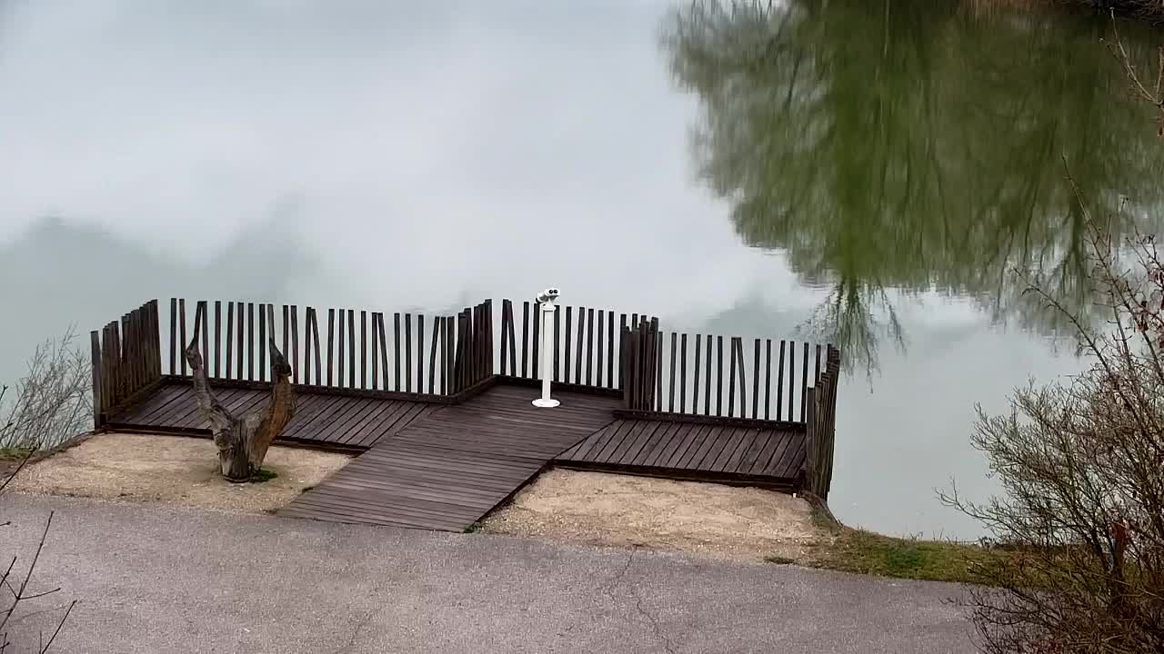 Webcam Ribnik Vrbje – Žalec