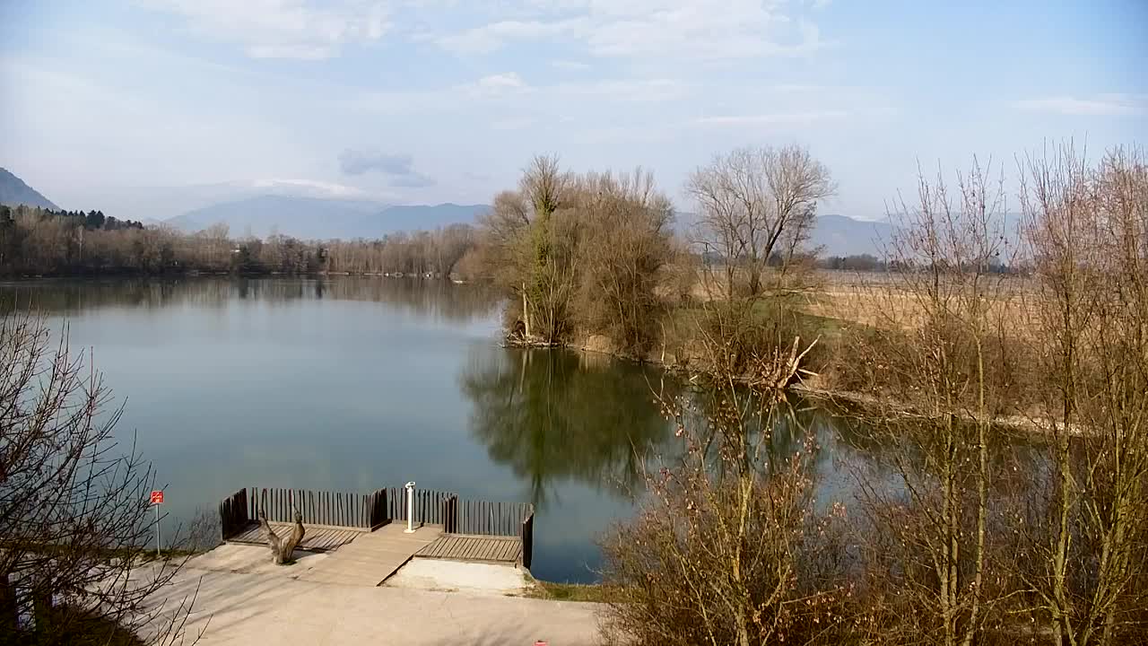 Webcam Ribnik Vrbje – Žalec