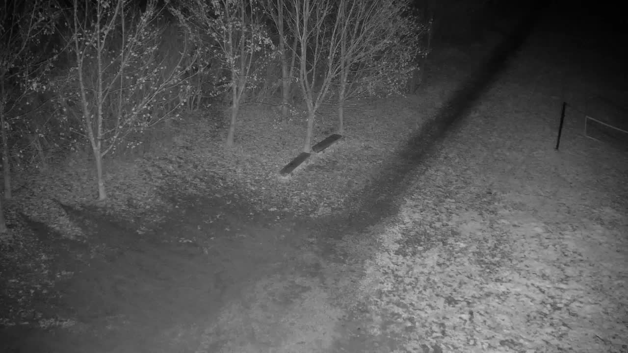 Webcam Ribnik Vrbje – Žalec