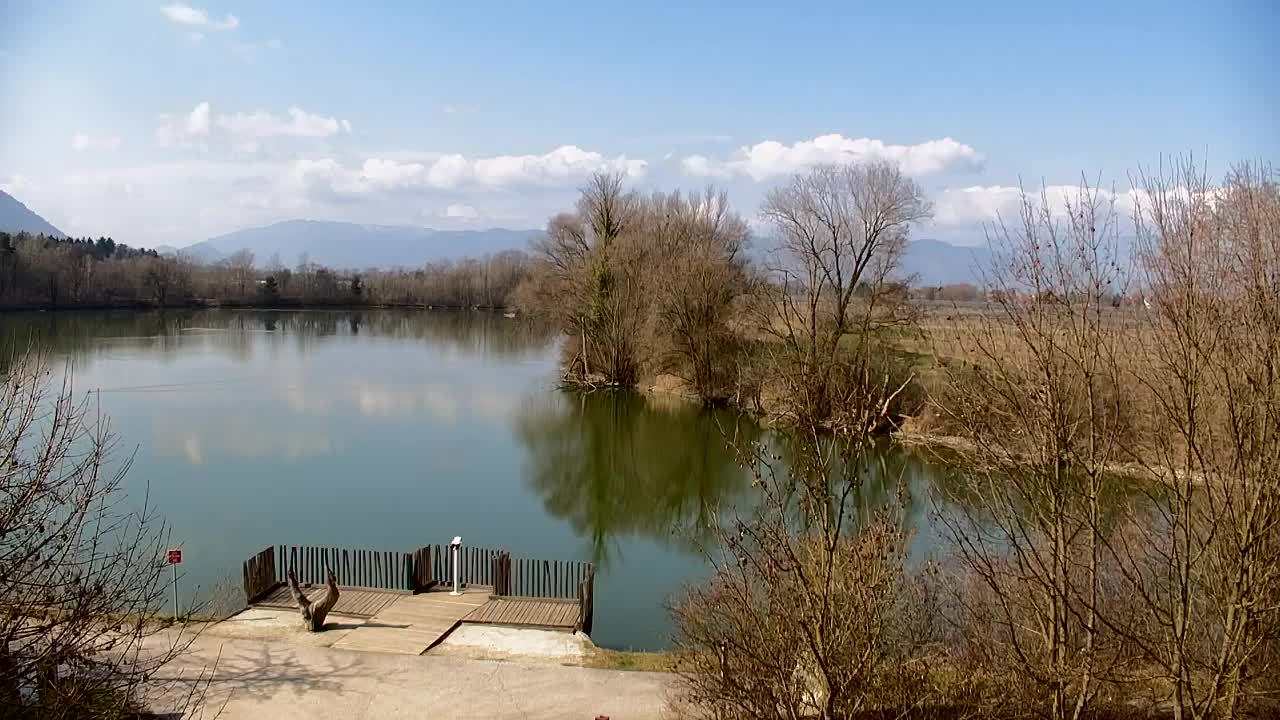 Webcam Ribnik Vrbje – Žalec