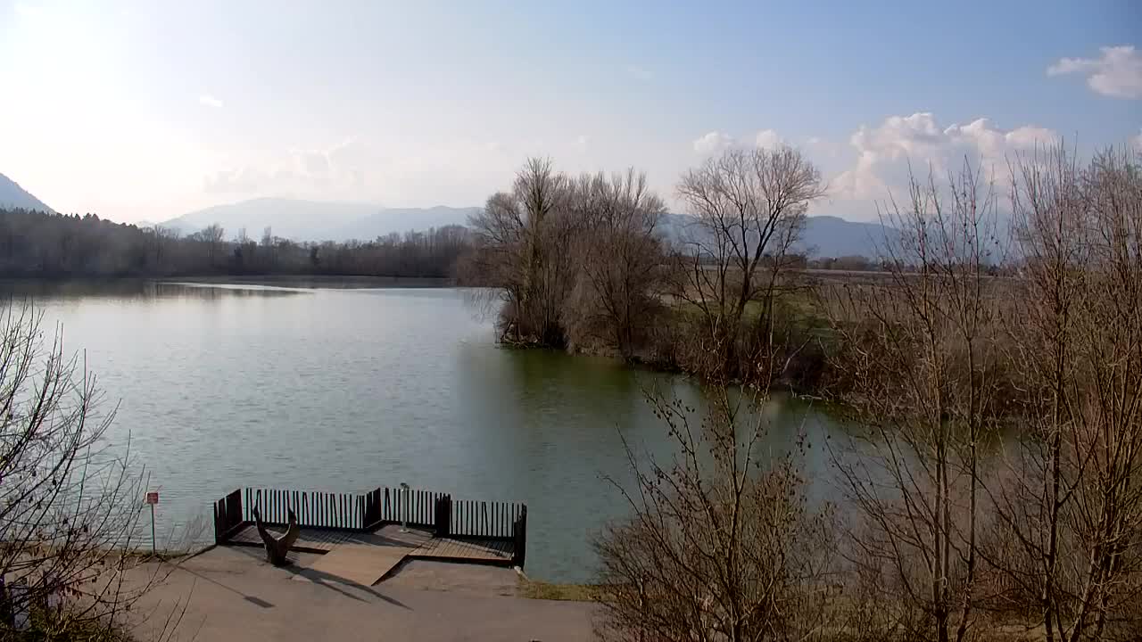 Spletna kamera Ribnik Vrbje – Žalec