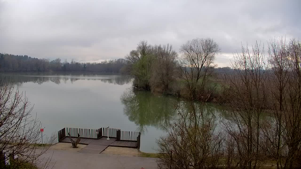 Spletna kamera Ribnik Vrbje – Žalec