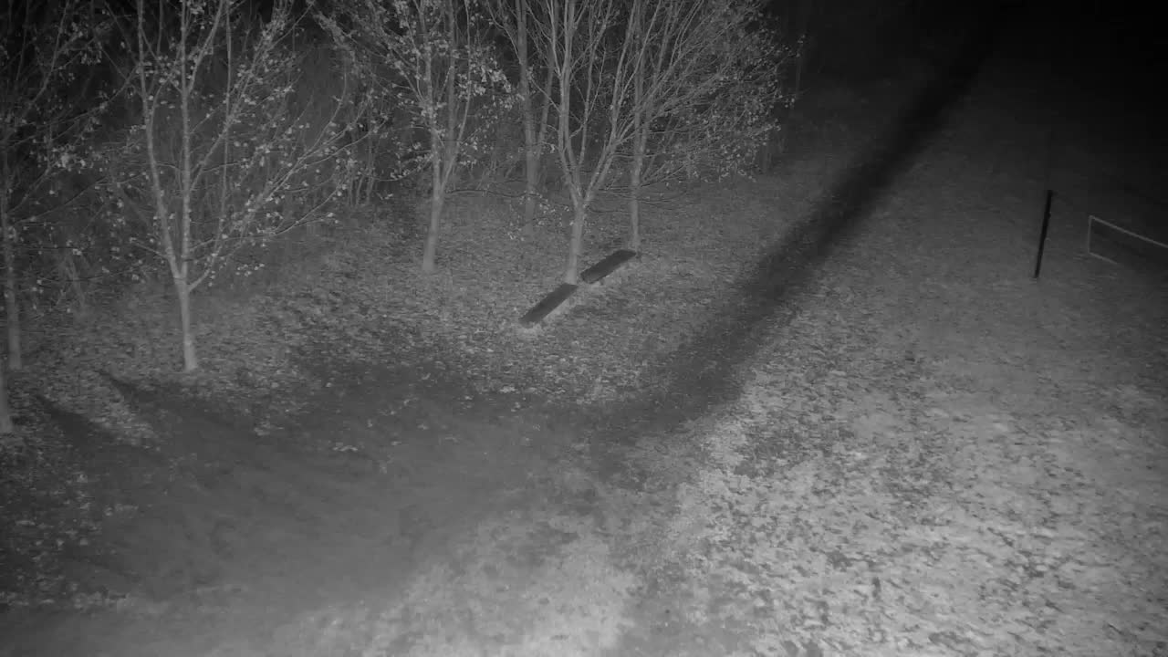 Webcam Ribnik Vrbje – Žalec