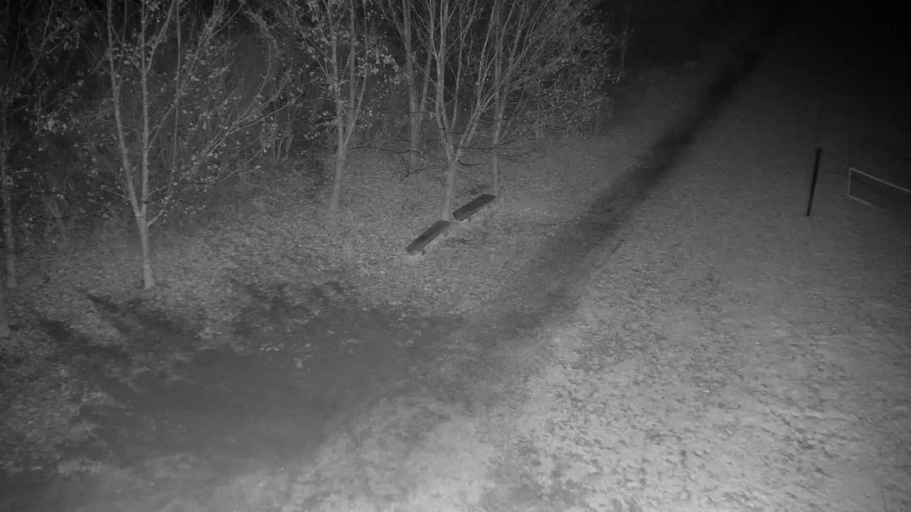 Webcam Ribnik Vrbje – Žalec