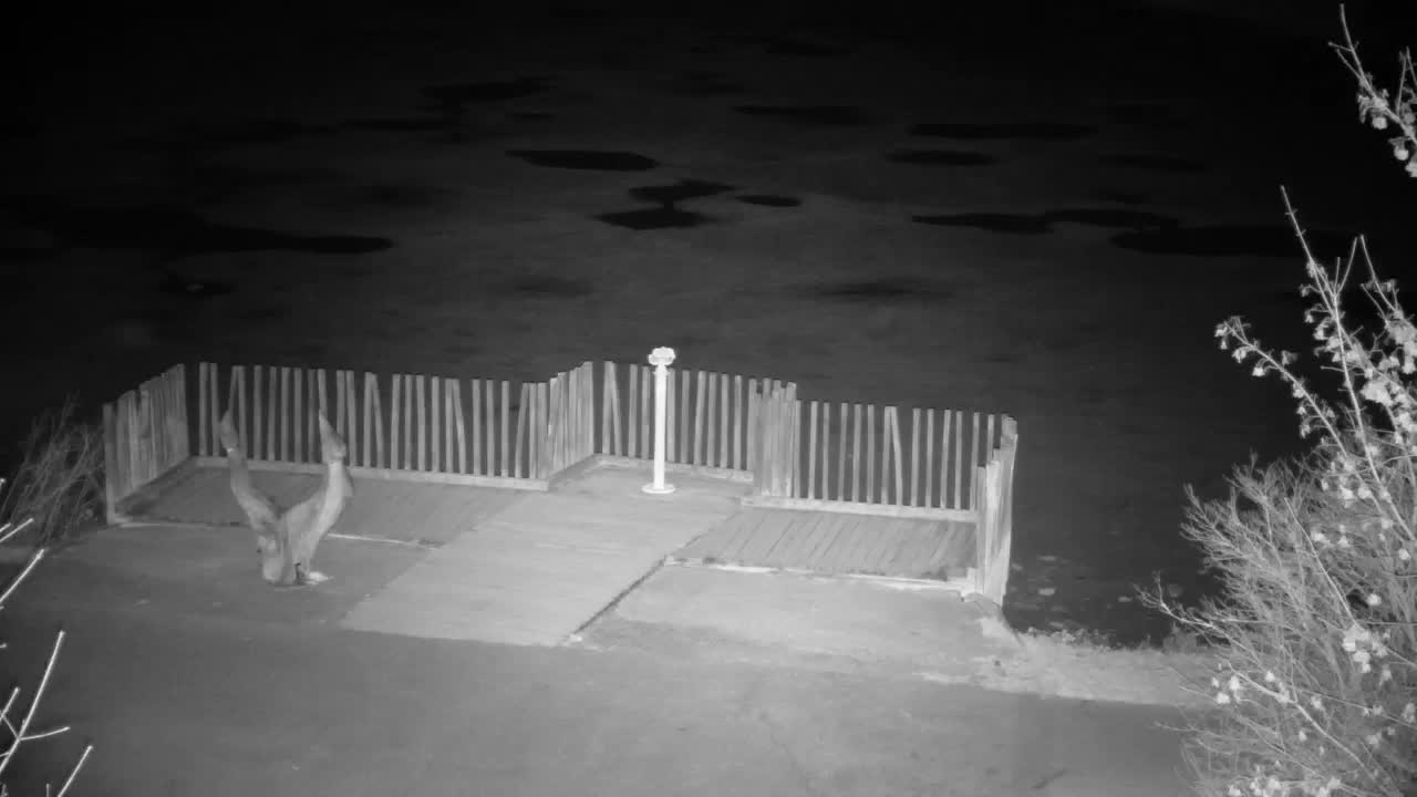 Webcam Ribnik Vrbje – Žalec