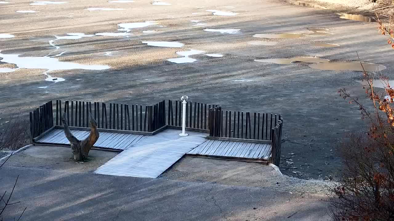 Webcam Ribnik Vrbje – Žalec