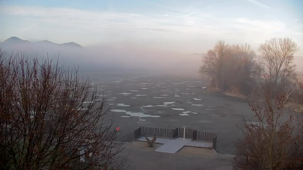 Webcam Ribnik Vrbje – Žalec