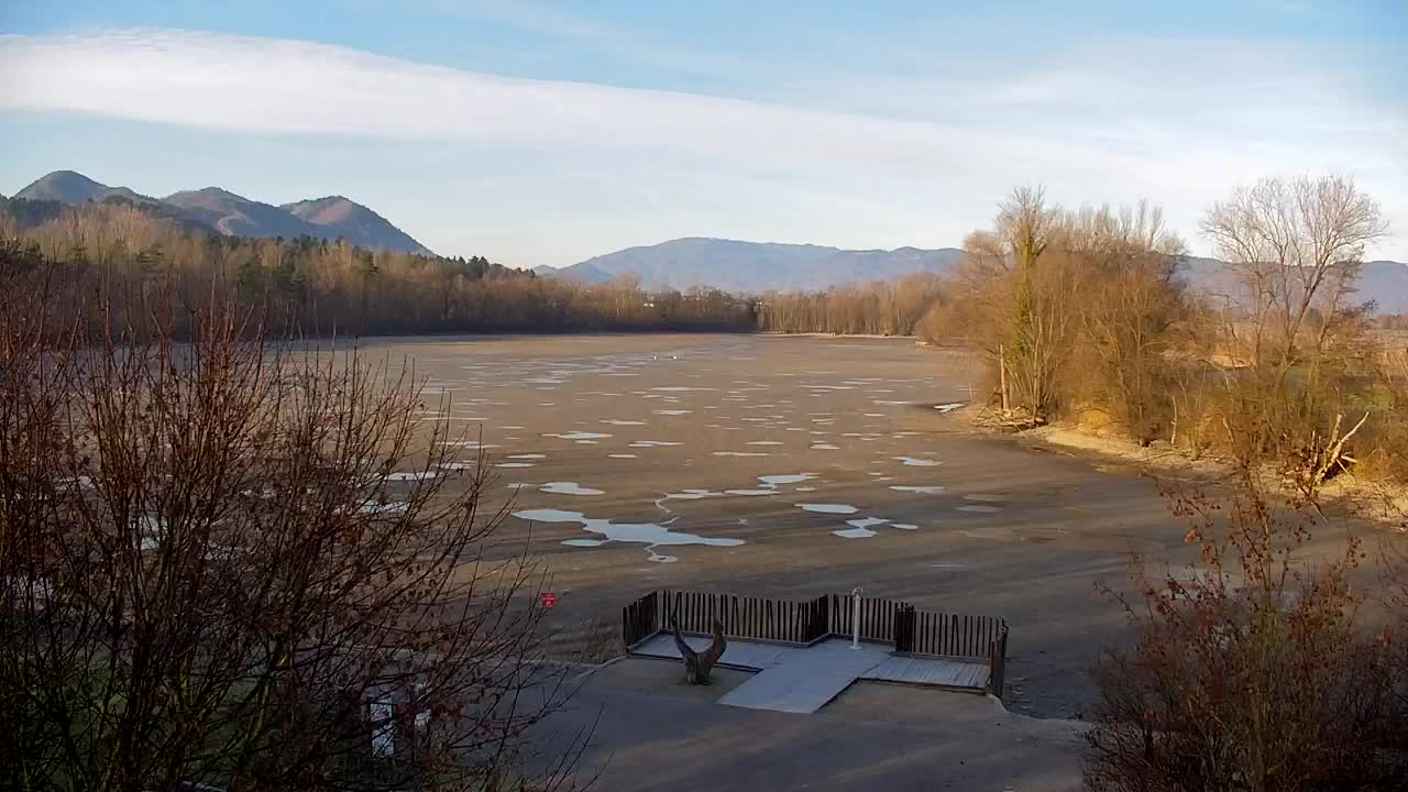 Webcam Ribnik Vrbje – Žalec