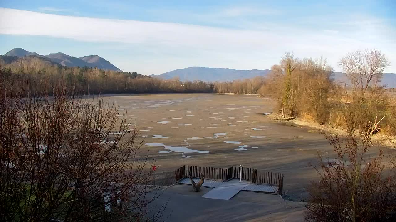 Webcam Ribnik Vrbje – Žalec