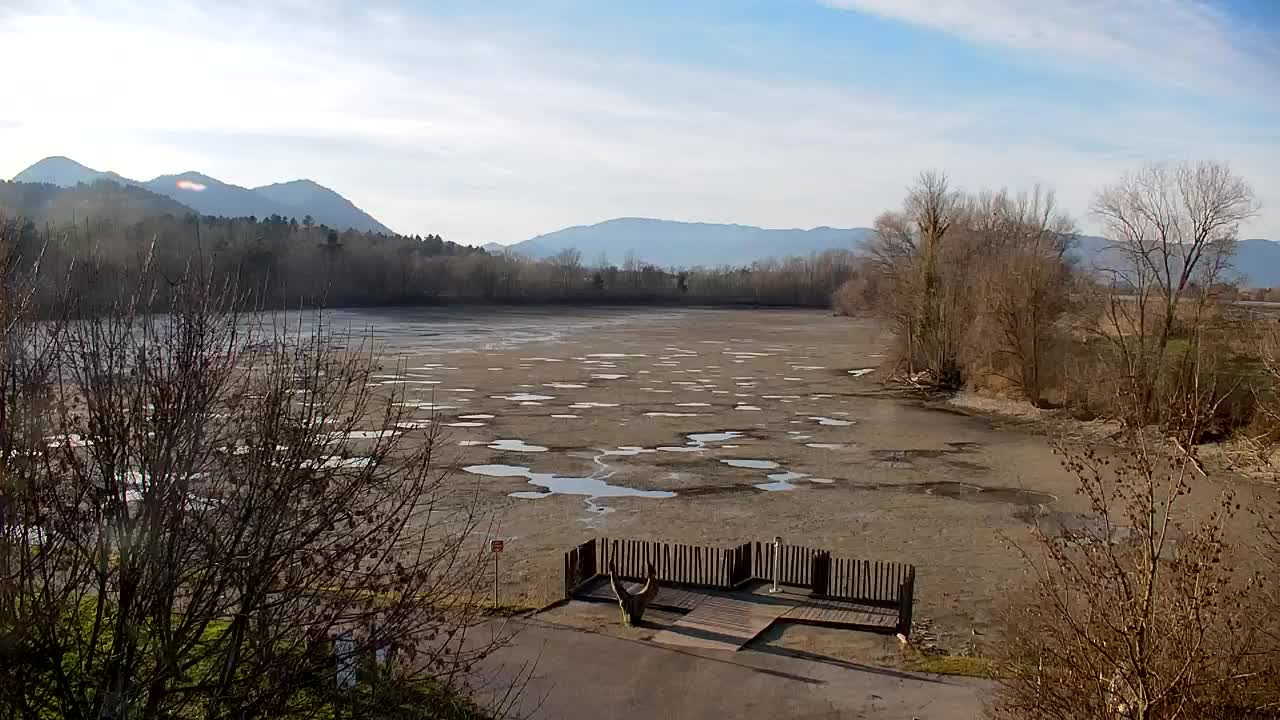 Webcam Ribnik Vrbje – Žalec