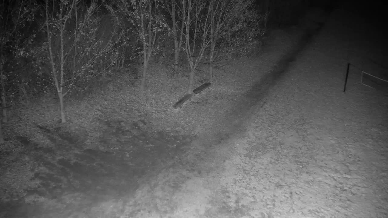 Webcam Ribnik Vrbje – Žalec