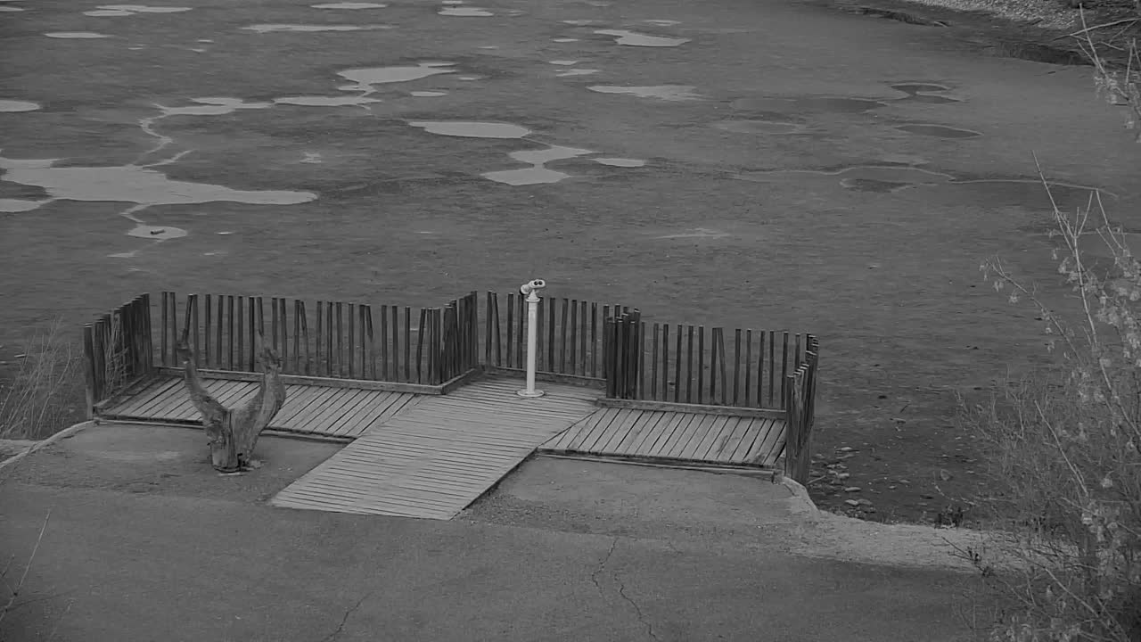 Spletna kamera Ribnik Vrbje – Žalec