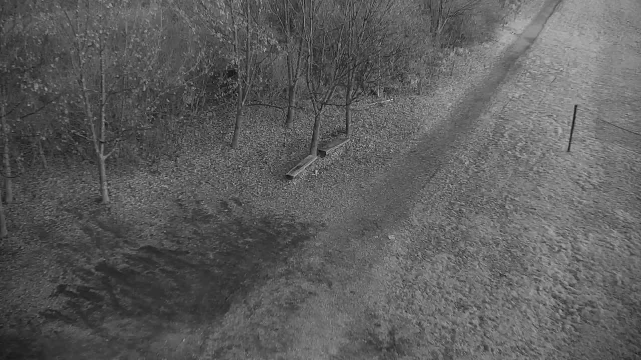 Webcam Ribnik Vrbje – Žalec