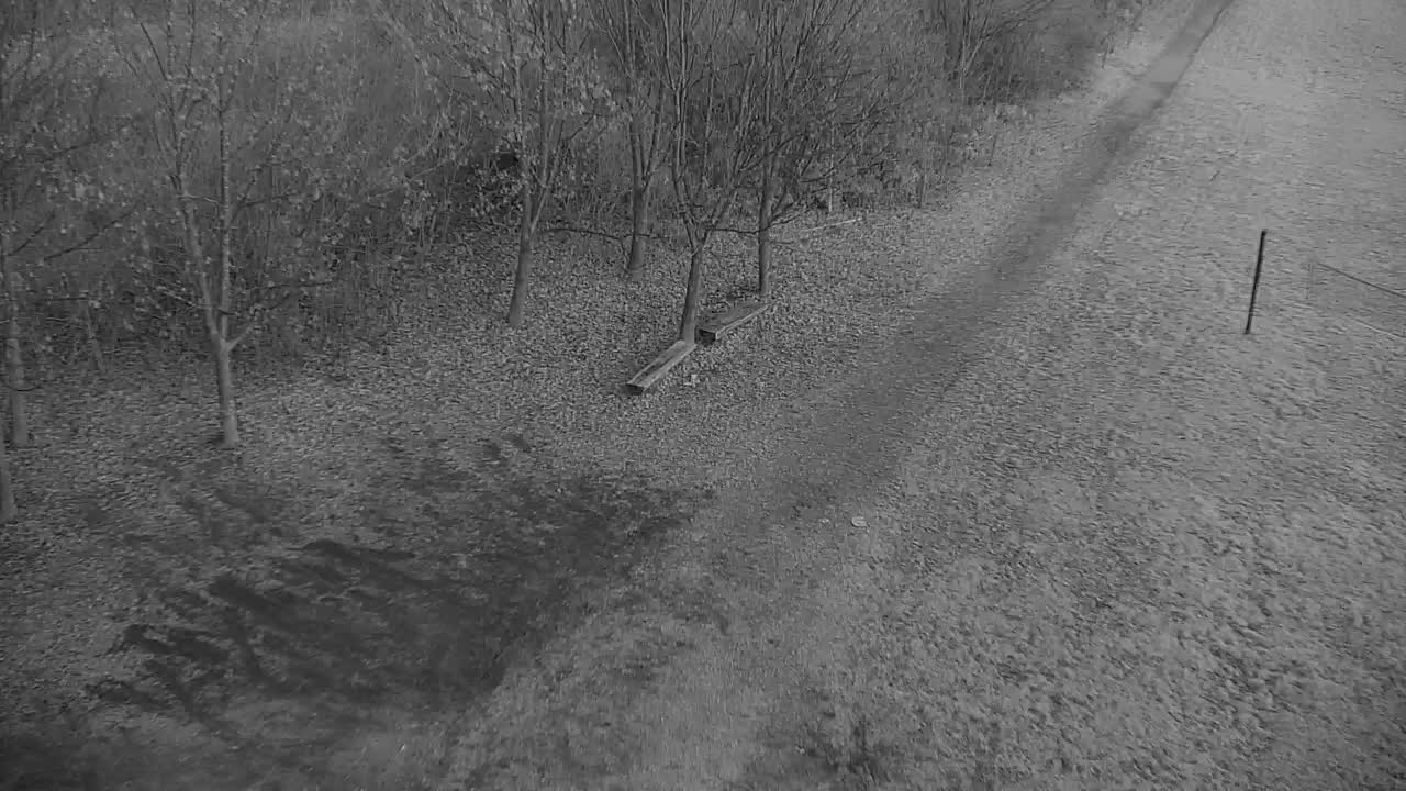 Webcam Ribnik Vrbje – Žalec