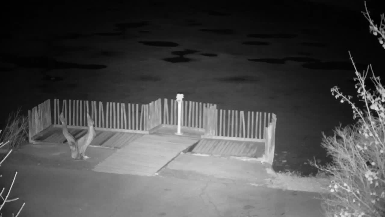 Spletna kamera Ribnik Vrbje – Žalec