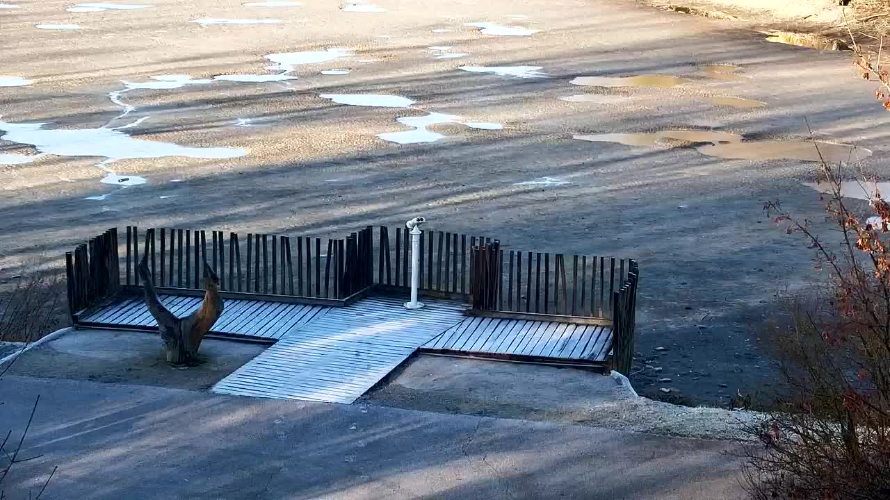 Webcam Ribnik Vrbje – Žalec