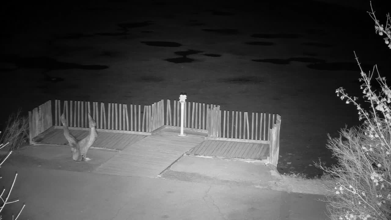 Webcam Ribnik Vrbje – Žalec