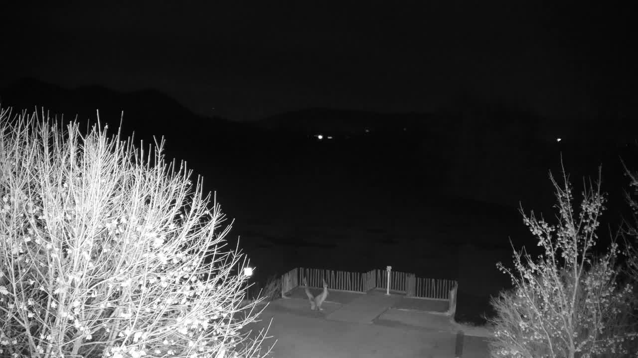 Webcam Ribnik Vrbje – Žalec