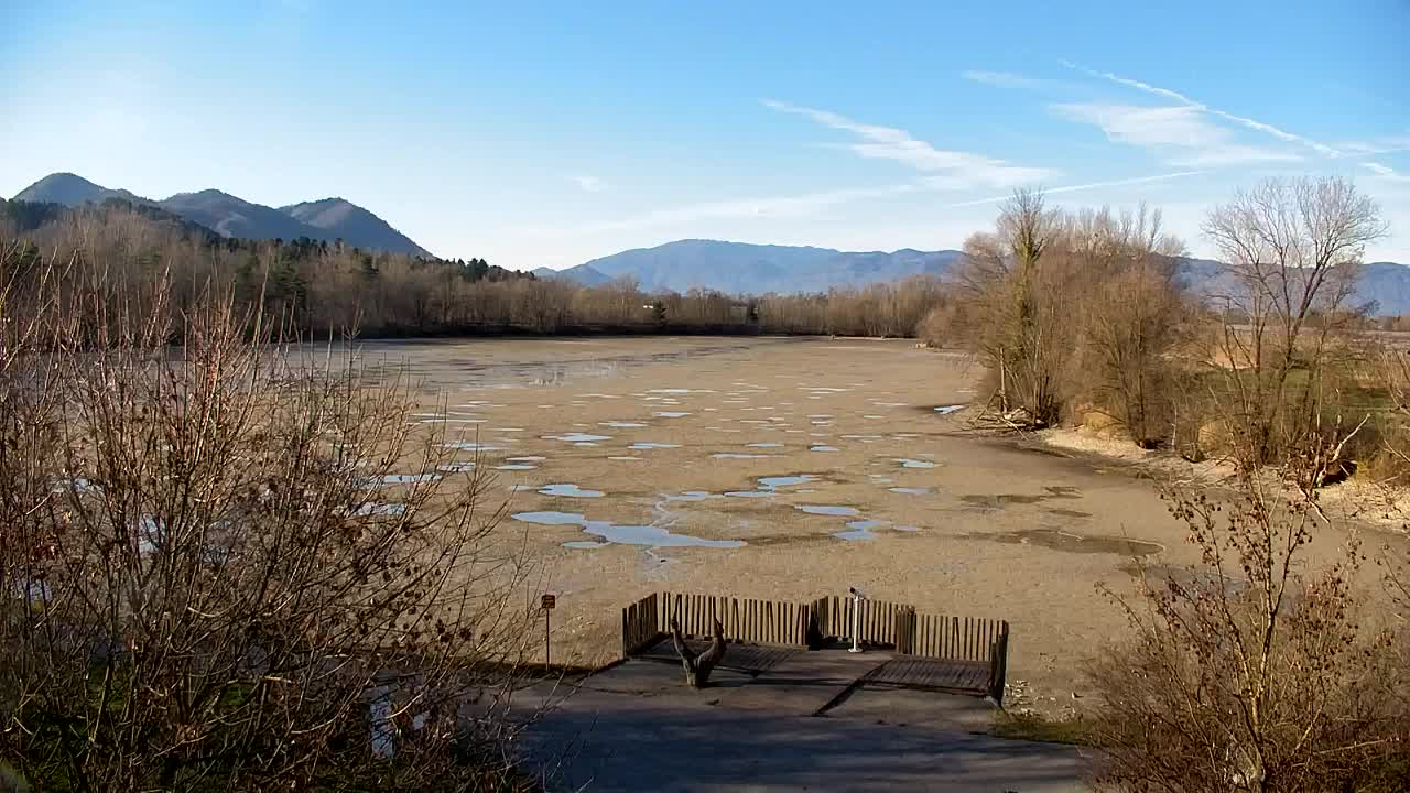 Web kamera Ribnik Vrbje – Žalec
