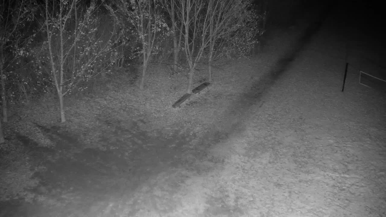 Webcam Ribnik Vrbje – Žalec