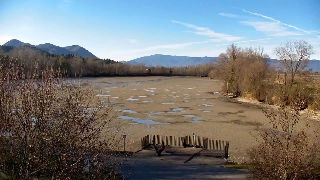 Webcam Ribnik Vrbje – Žalec
