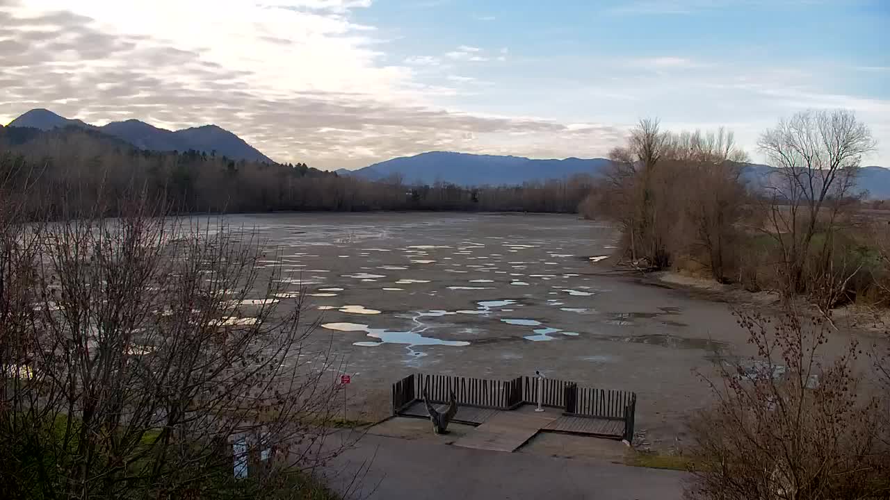 Webcam Ribnik Vrbje – Žalec