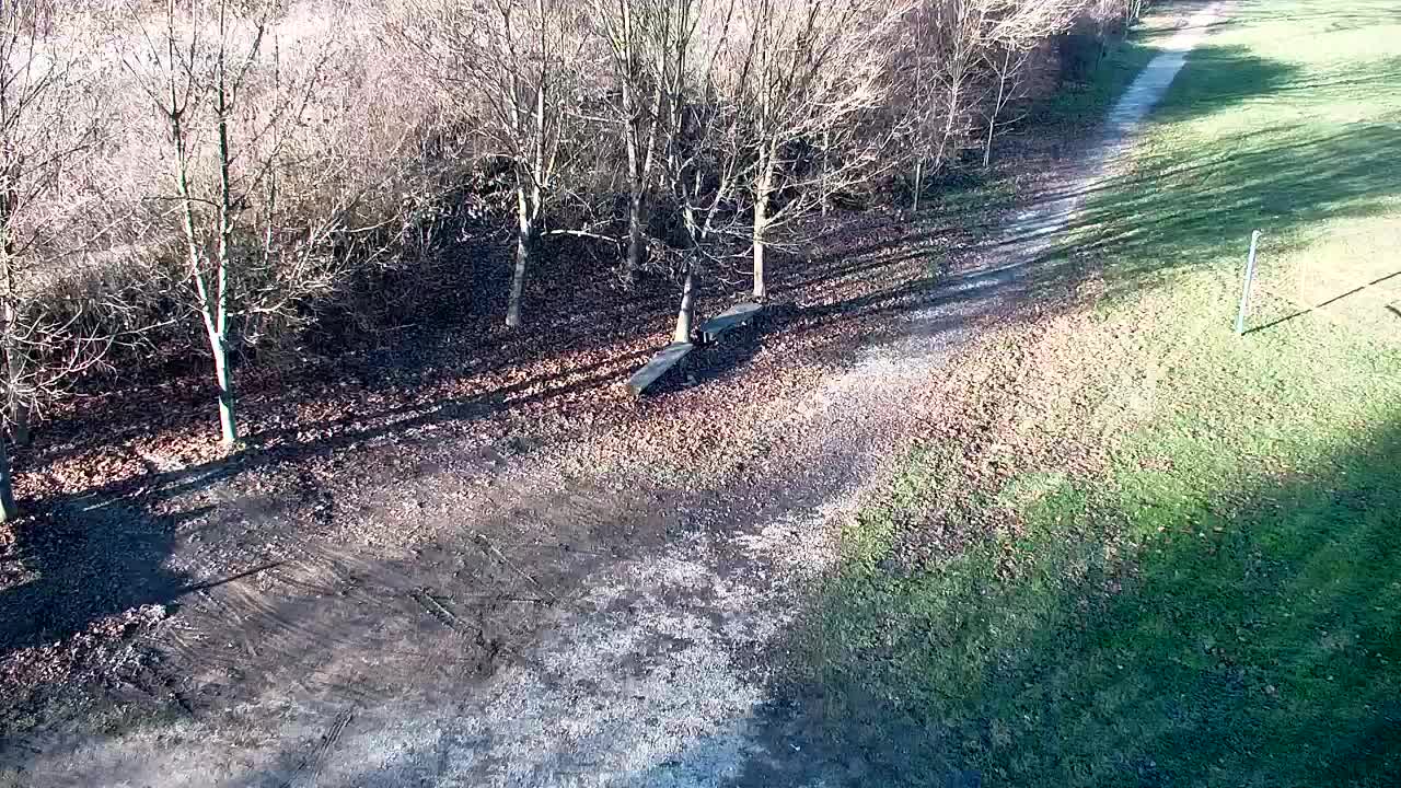 Webcam Ribnik Vrbje – Žalec