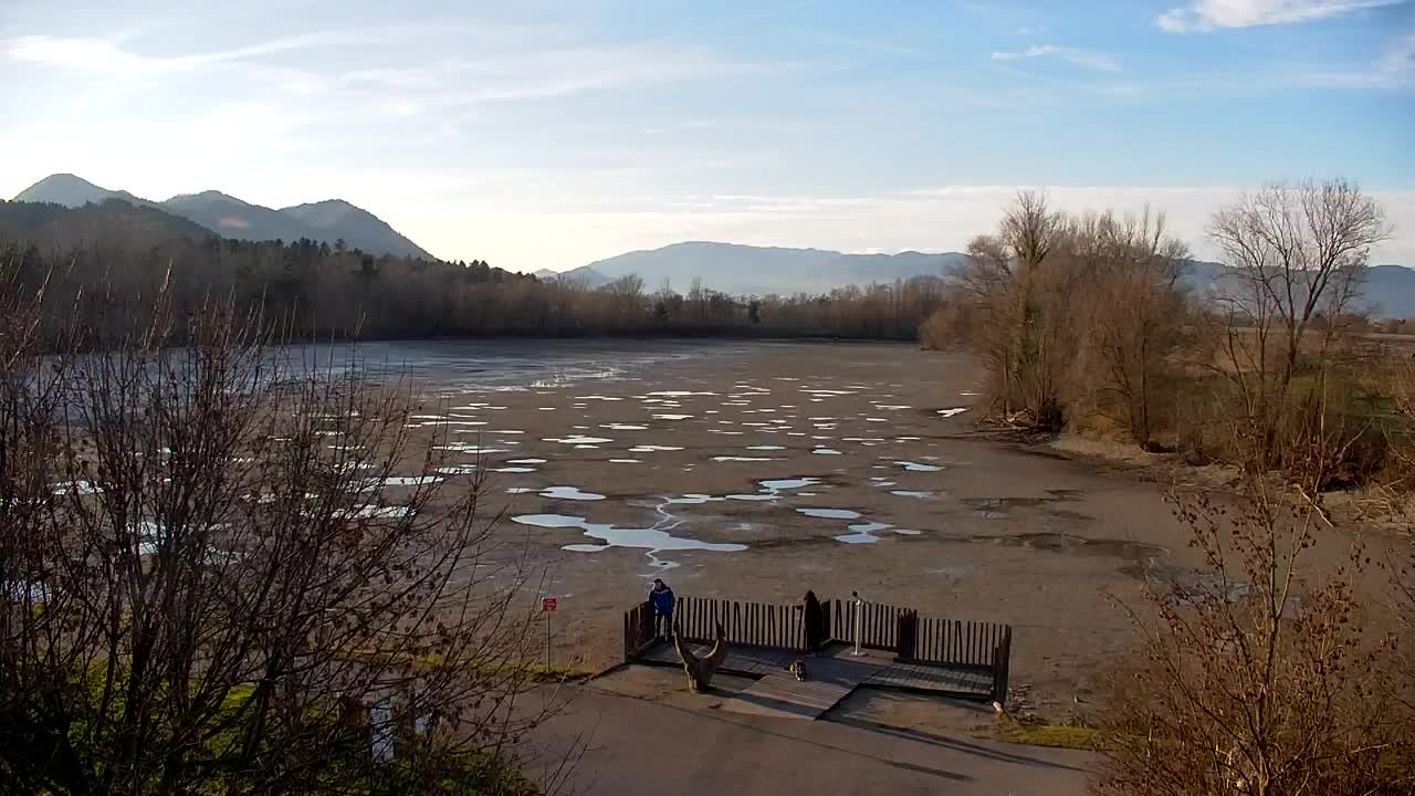 Webcam Ribnik Vrbje – Žalec