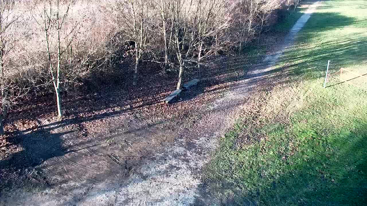 Spletna kamera Ribnik Vrbje – Žalec