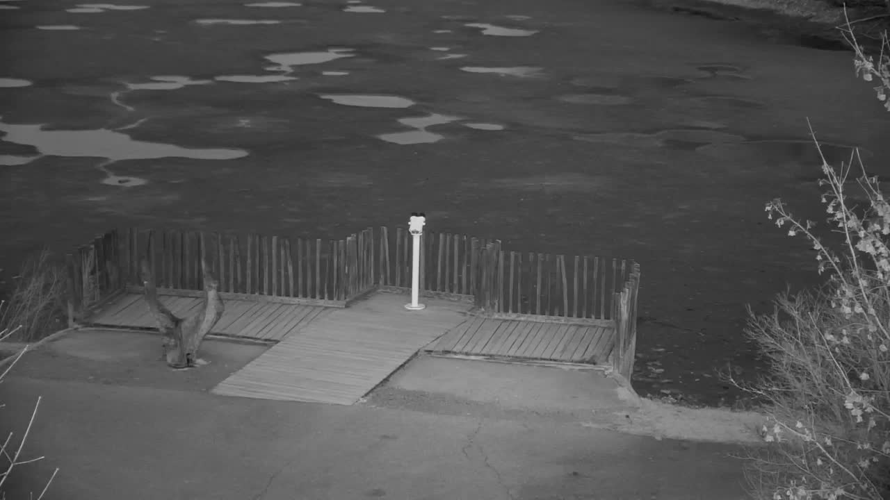 Webcam Ribnik Vrbje – Žalec