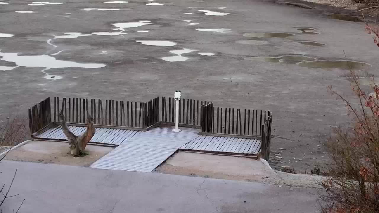 Webcam Ribnik Vrbje – Žalec